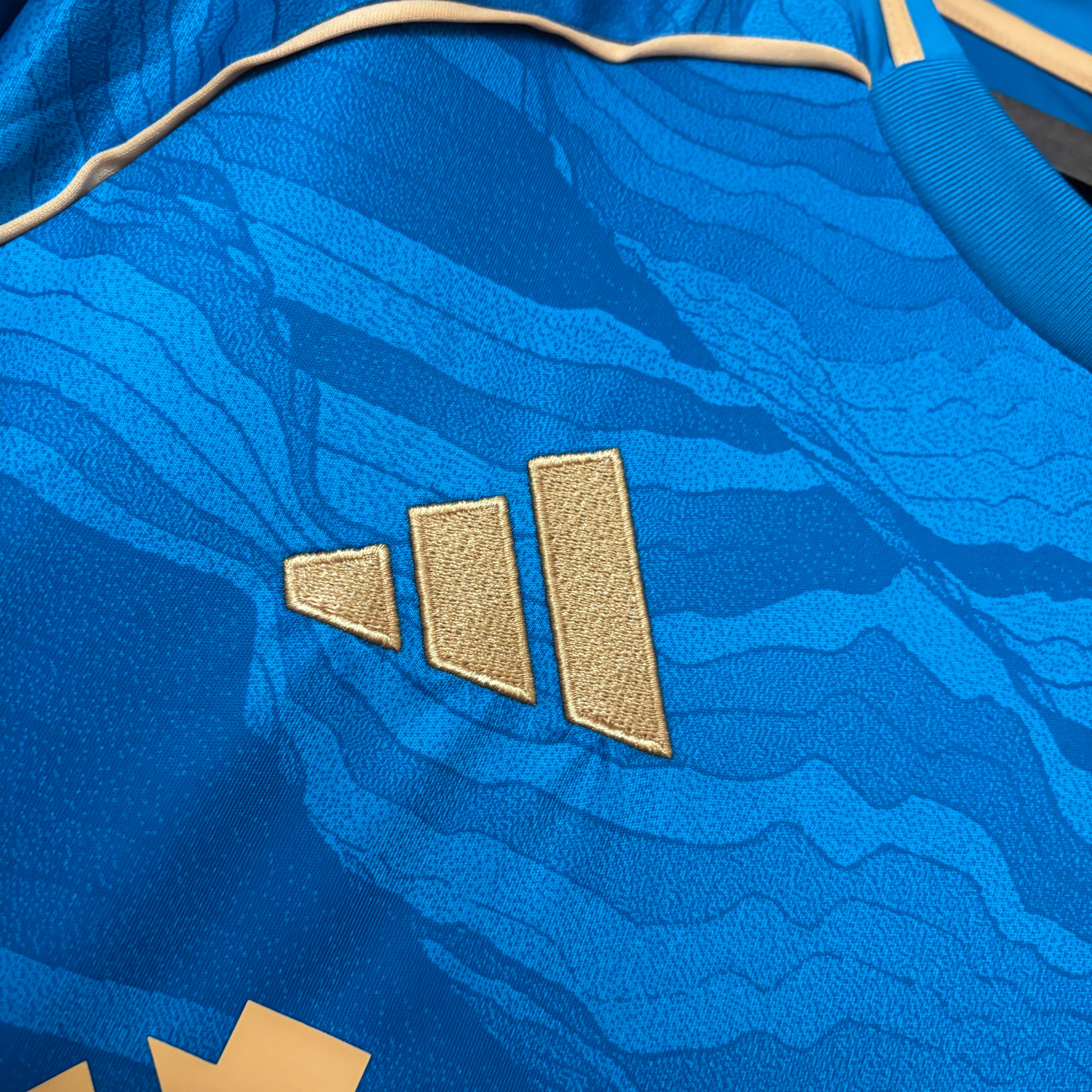 Terceira Camisa Cruzeiro 2025/26
