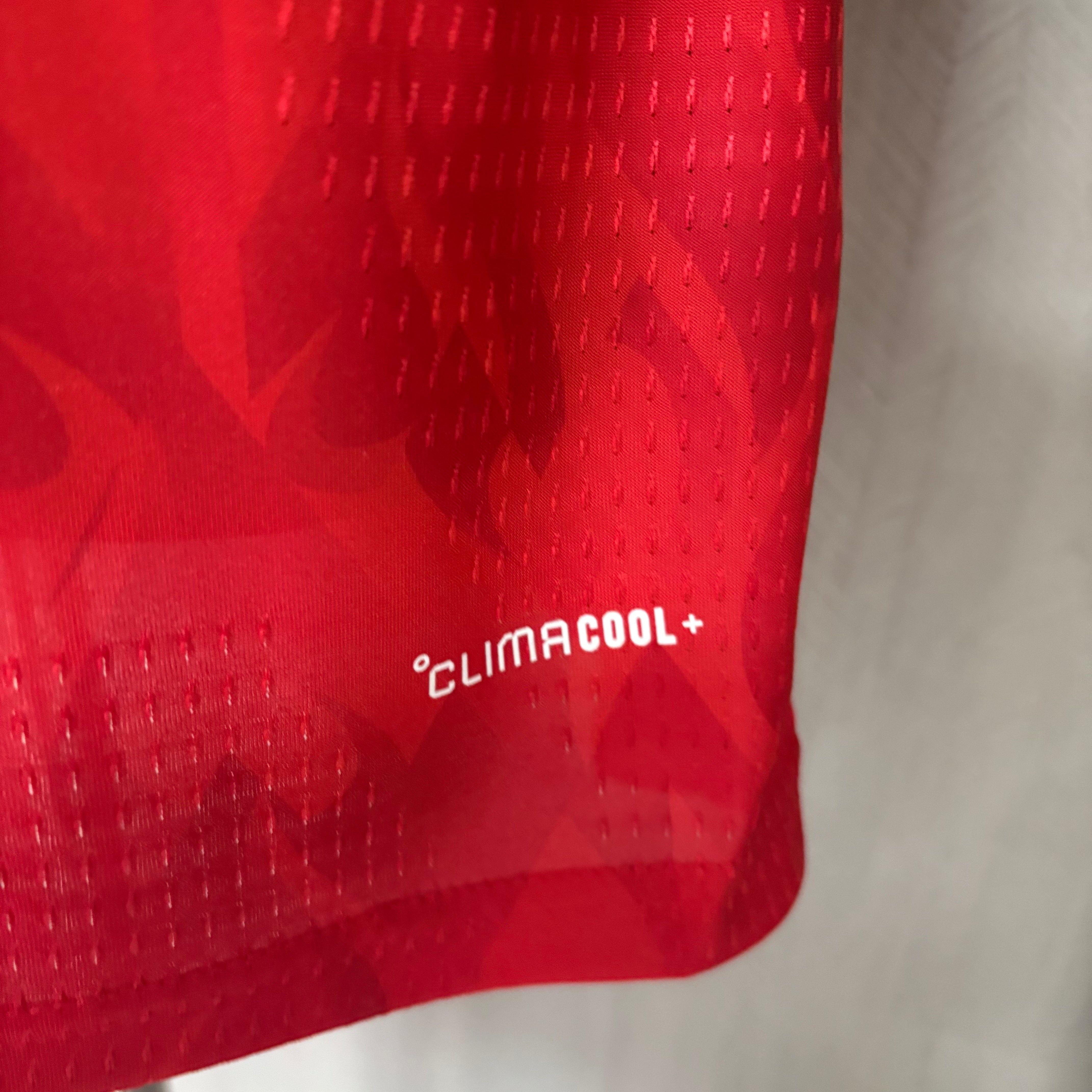 Camisa Versão Jogador Bélgica Home 2026